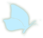蝴蝶