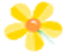 花花