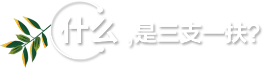三支一扶是什么意思