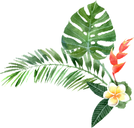 花花
