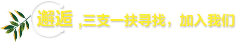 玩转,三支一扶资料、讲座  应有尽有